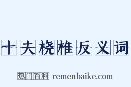 十夫桡椎反义词是什么意思的图片